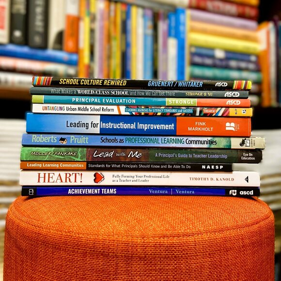 Lot of School Principal Guides for School Growth & Development - Picture 1 of 12